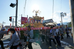 DSC07642