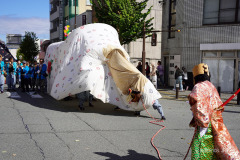 DSC08103