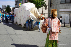 DSC08105