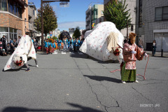 DSC08121