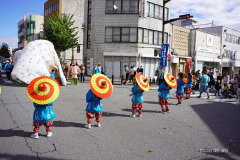 DSC08148