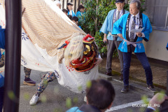 DSC08872