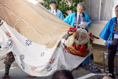DSC08880