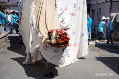 DSC09050