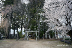 DSC09247